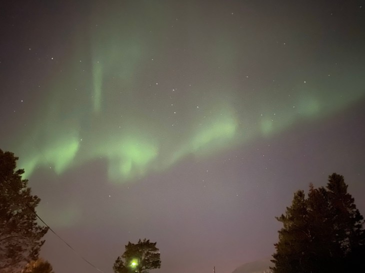 “Feeling like a pre-teen Swedish Boy” in Sweeeeeden